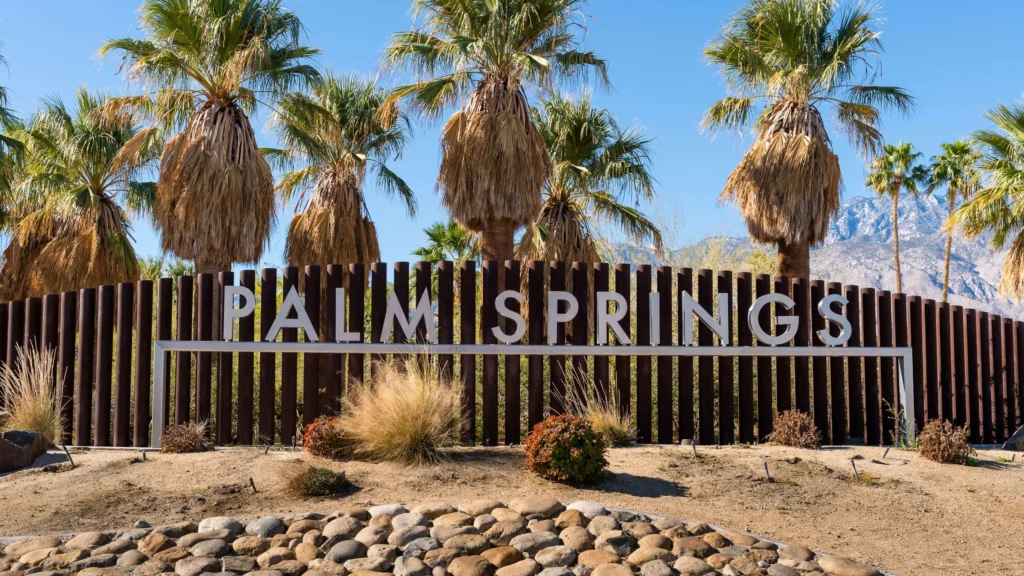 Palm Springs SEO 1